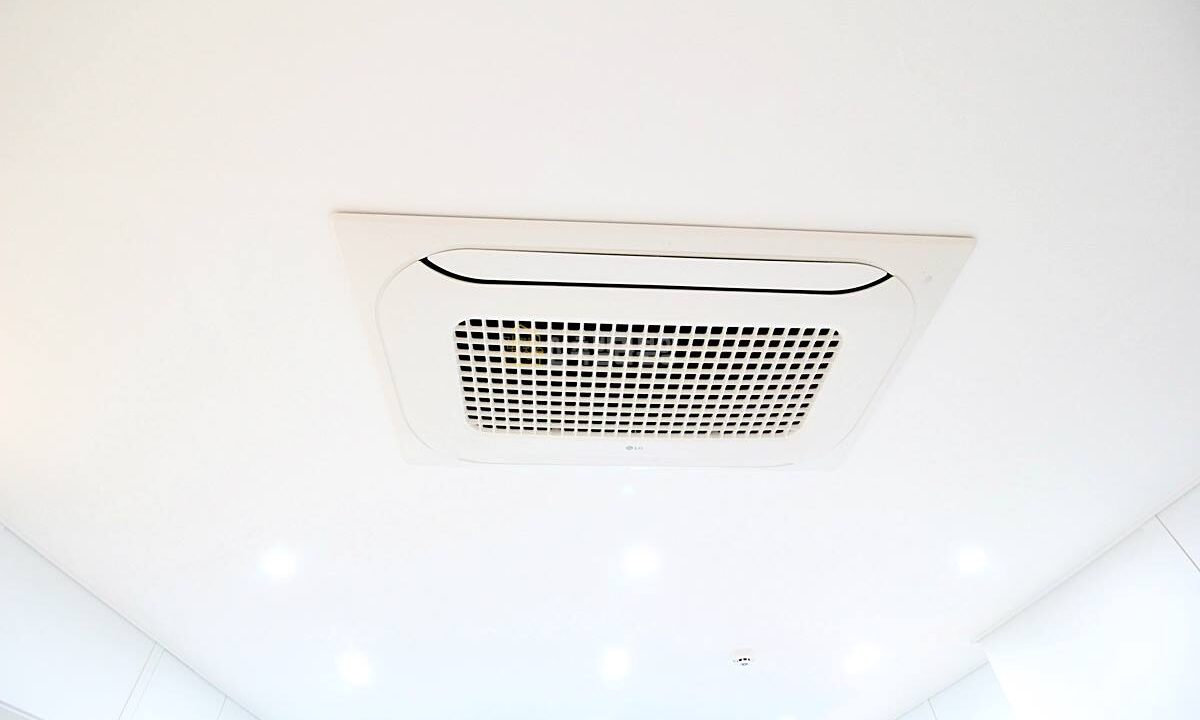 202520250218-131427-1054