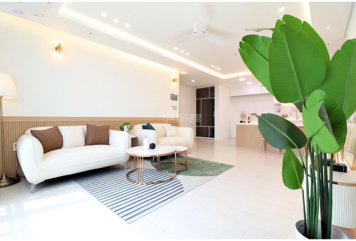 20250904 220352 2313 1