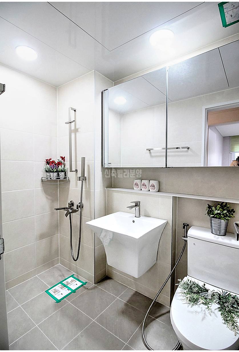 20260215 010157 5049 23 8