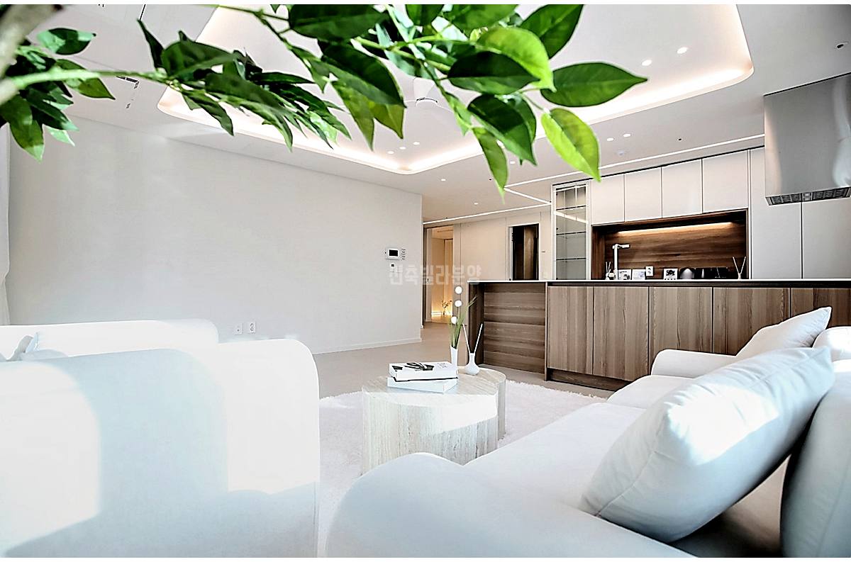 20260215 010157 5049 5 181