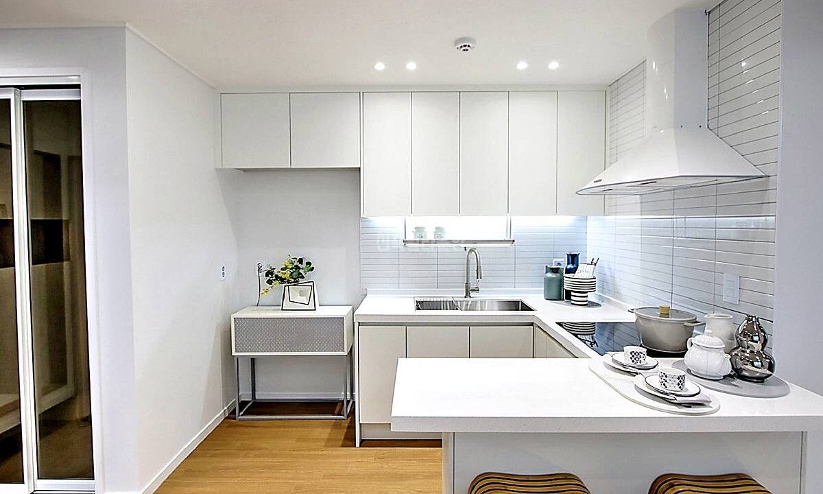 20260215 010157 5049 6 169