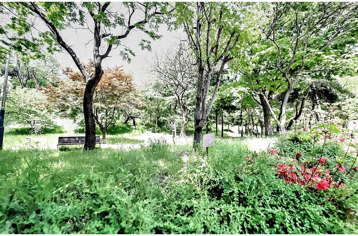 L21132719 안산시 상록구 본오동 1132 7 까사1132 202호 2.99억 실5천 22 @@ HQ 20260508 224210