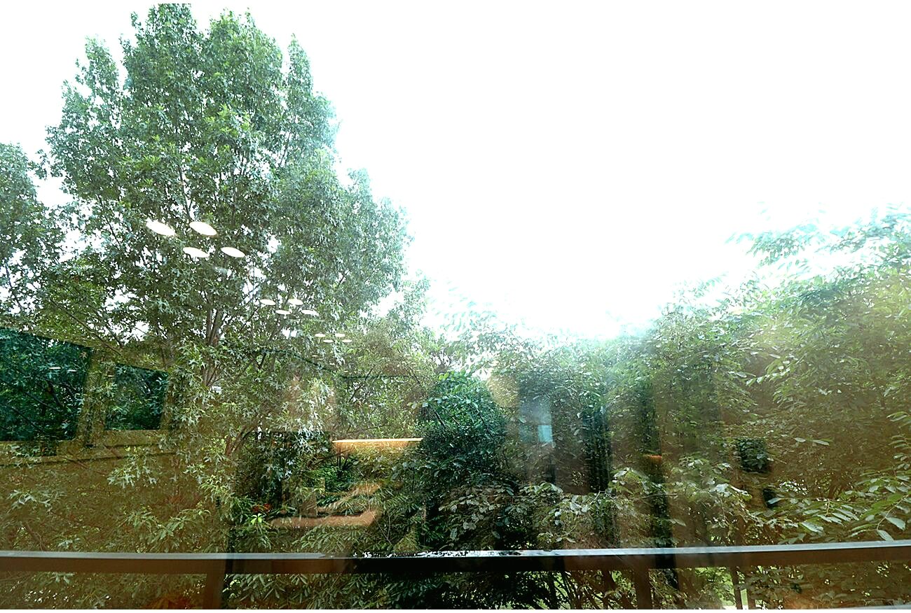 20260918 081142 2507